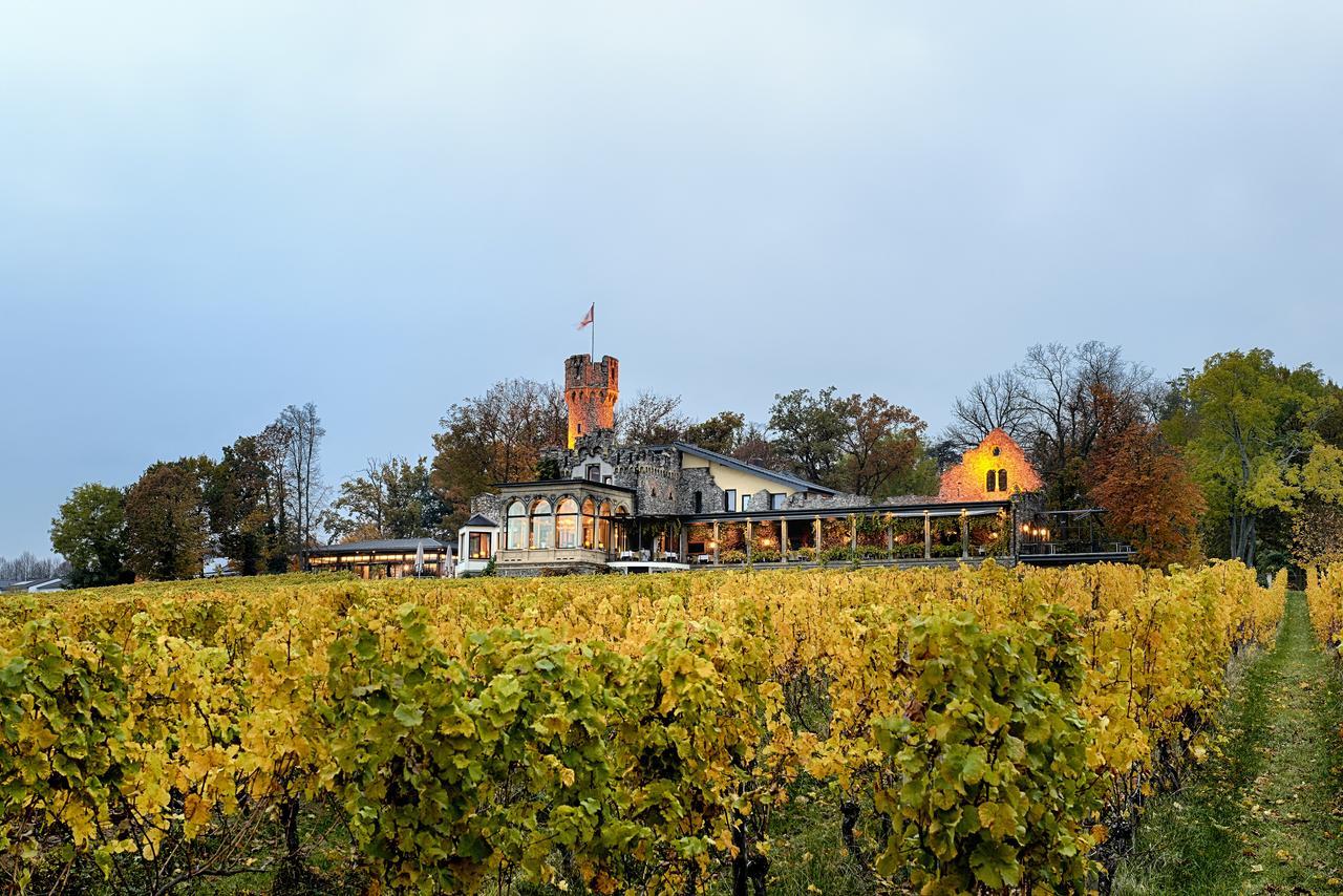 Relais & Chateaux Hotel Burg Schwarzenstein Geisenheim Dış mekan fotoğraf